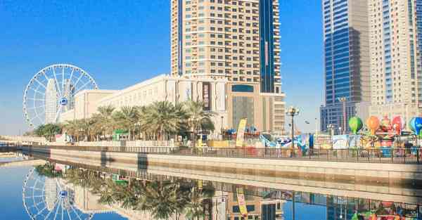 外国语单招大数据的行业文章