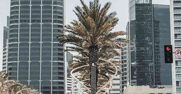 健康大数据体系