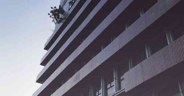 大数据分析机动车数量