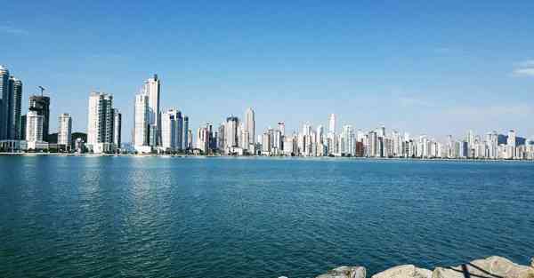 一键AI绘画宠物兔子