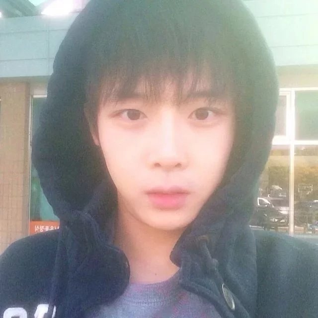 陆晓琼菊