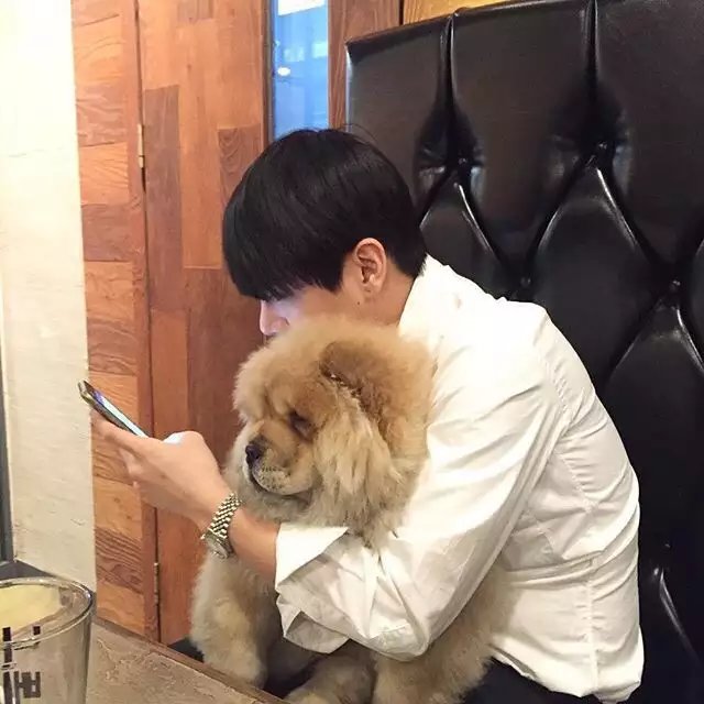 莘旭璐容