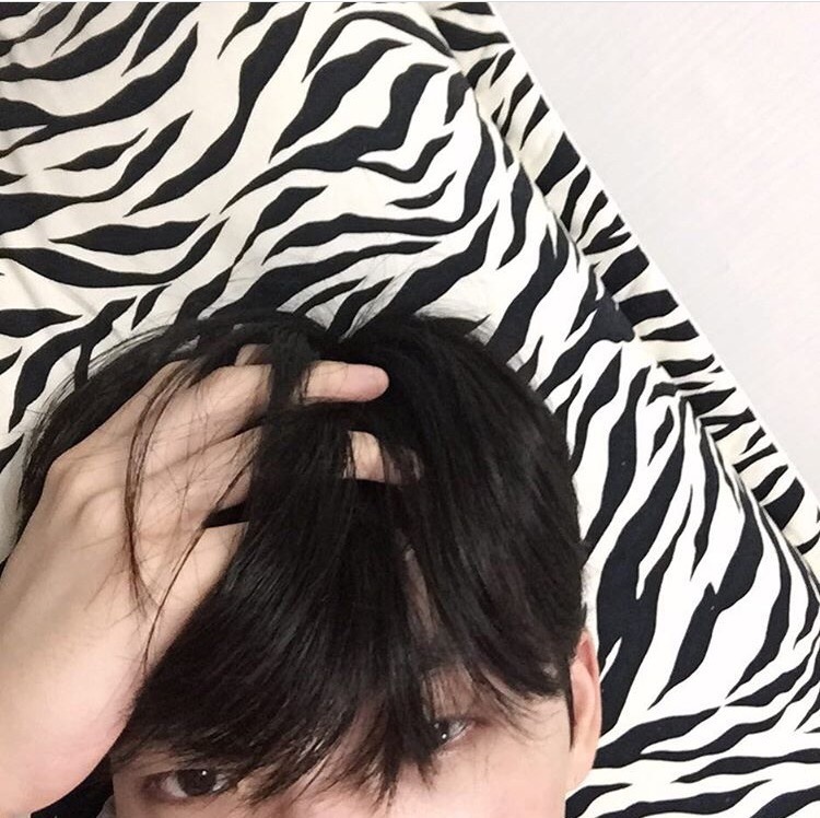 莘芬豪先