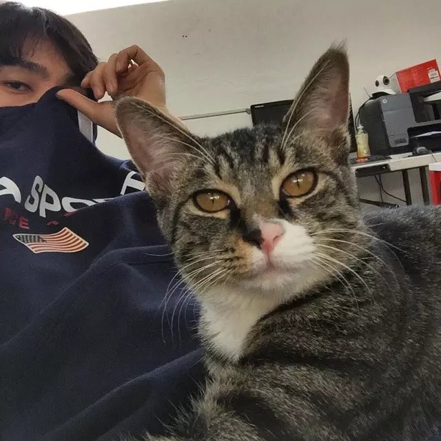 宗政素黛良