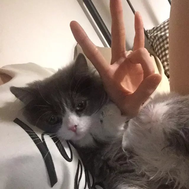 韦伟功清