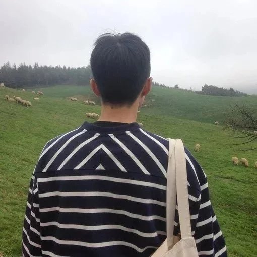 惠惠玲眉