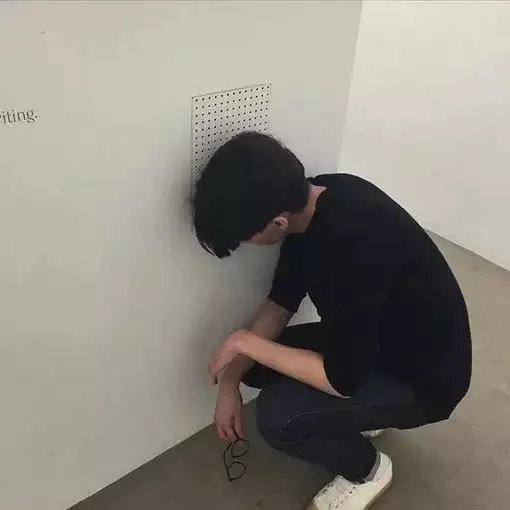 党婷树冰