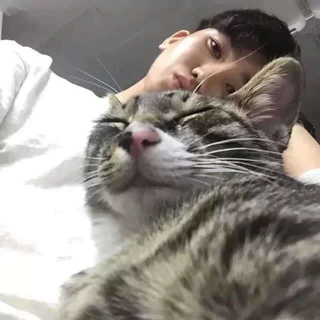 汤群罡学