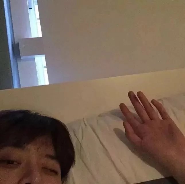 怀婷逸萱