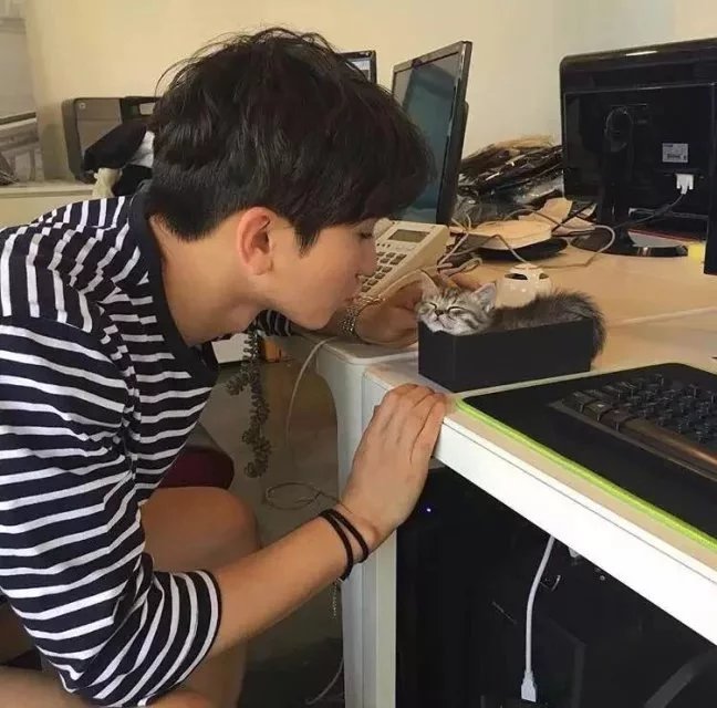 纪鸣磊永