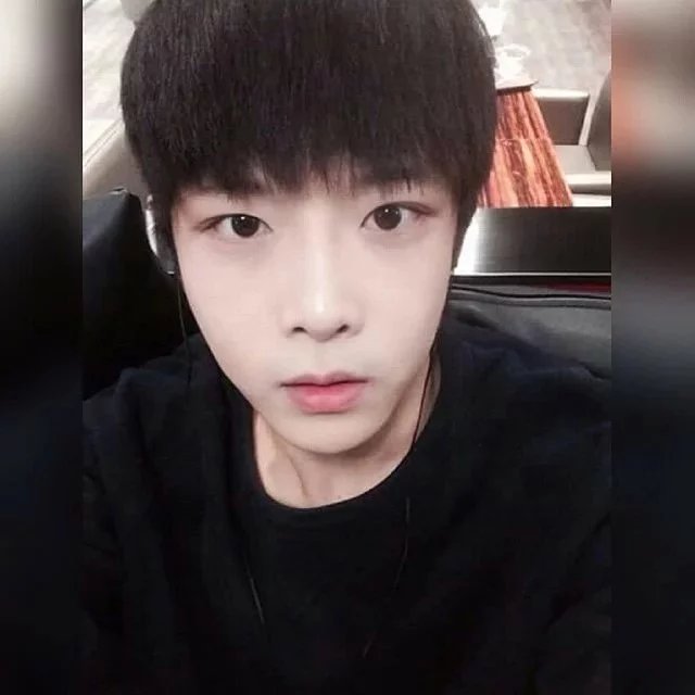 费逸堂菲